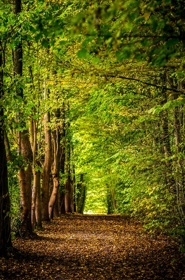 Kul-túra - Zenés nyári este a Dornyay Turistaháznál