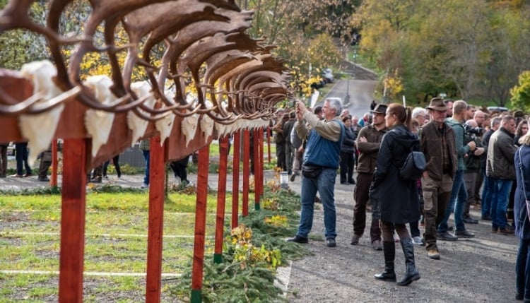 Az év utolsó zarándoklatát tartják Mátraverebély-Szentkúton