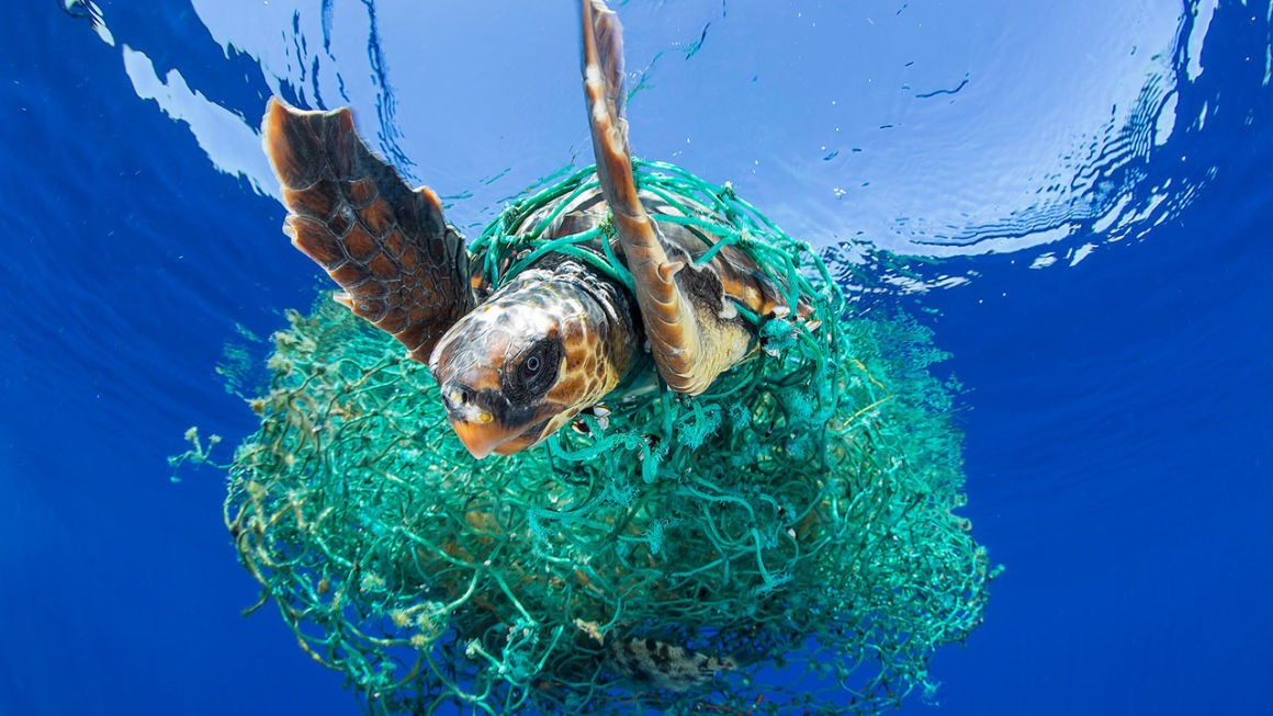 Ilyen károkat okoz a műanyagszemét az óceánokban