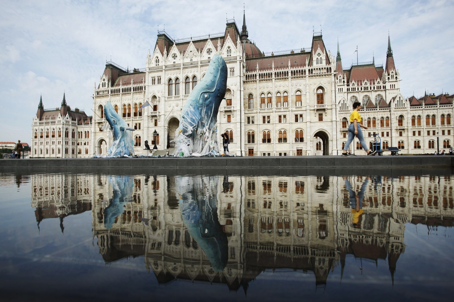 Óriás bálnák lepik el Budapestet