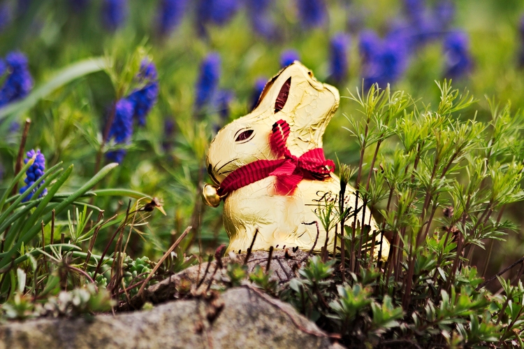 Húsvéti termékvizsgálat: a csokinyuszik felől idén is nyugodtak lehetünk