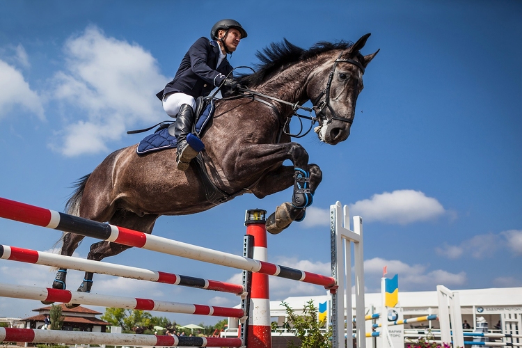 Negyedszázados szünet után olimpiára készül a magyar lovassport