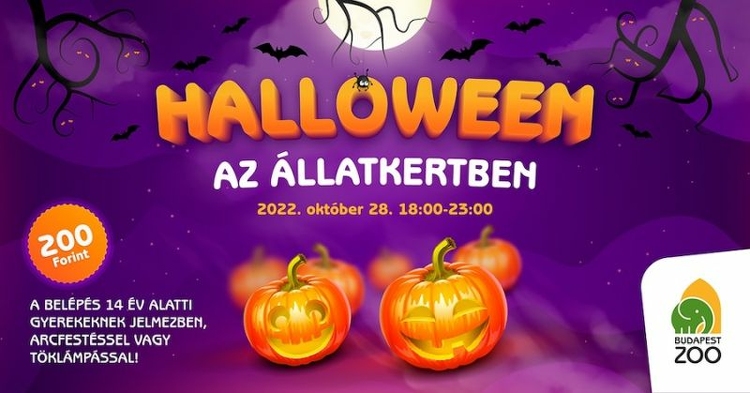 Halloweeni programokkal várja a látogatókat a Fővárosi Állatkert péntek este