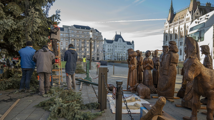 A fővárosban környezetbarát módon hasznosítják a karácsonyfákat