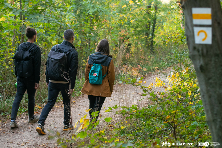 Ezeket a Budapest környéki túraútvonalakat fedezd fel ősszel