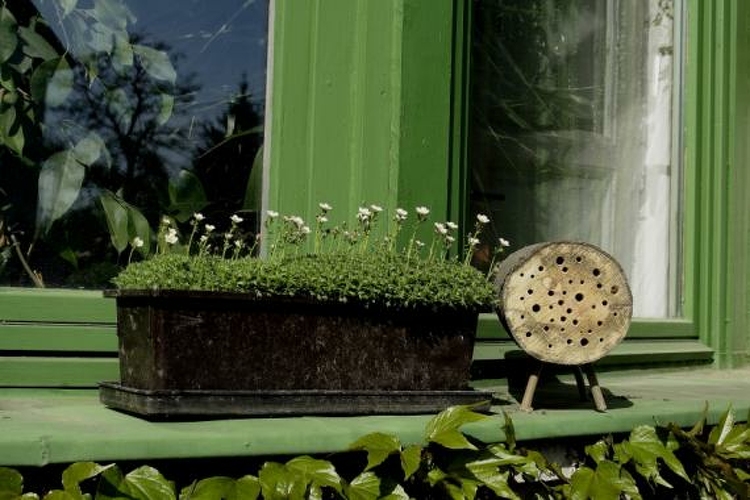 Házi készítésű méhecskehotelekkel és darázsgarázsokkal lehet segíteni a beporzó rovarokat