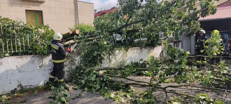 Katasztrófavédelem: viharkárok voltak Budapest északi részén