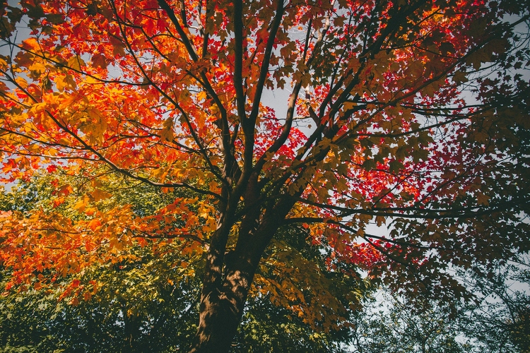 Folytatódik a nyugodt őszi idő a hétvégén is