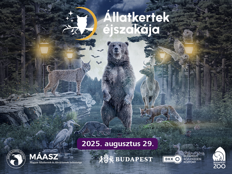 Közösségi közlekedéssel az Állatkertek éjszakájára