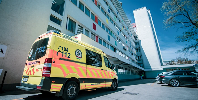 Kezdetét veszi a Heim Pál emlékév