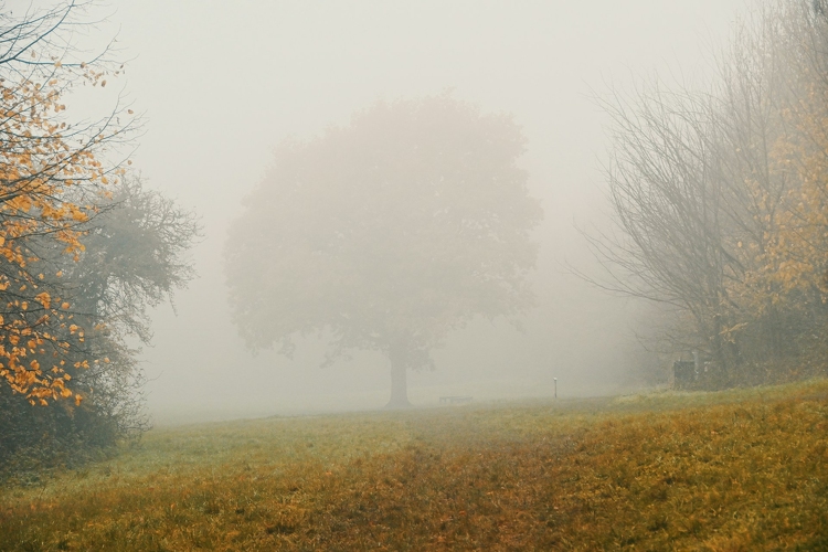 Folytatódik a borult, párás időjárás a héten is