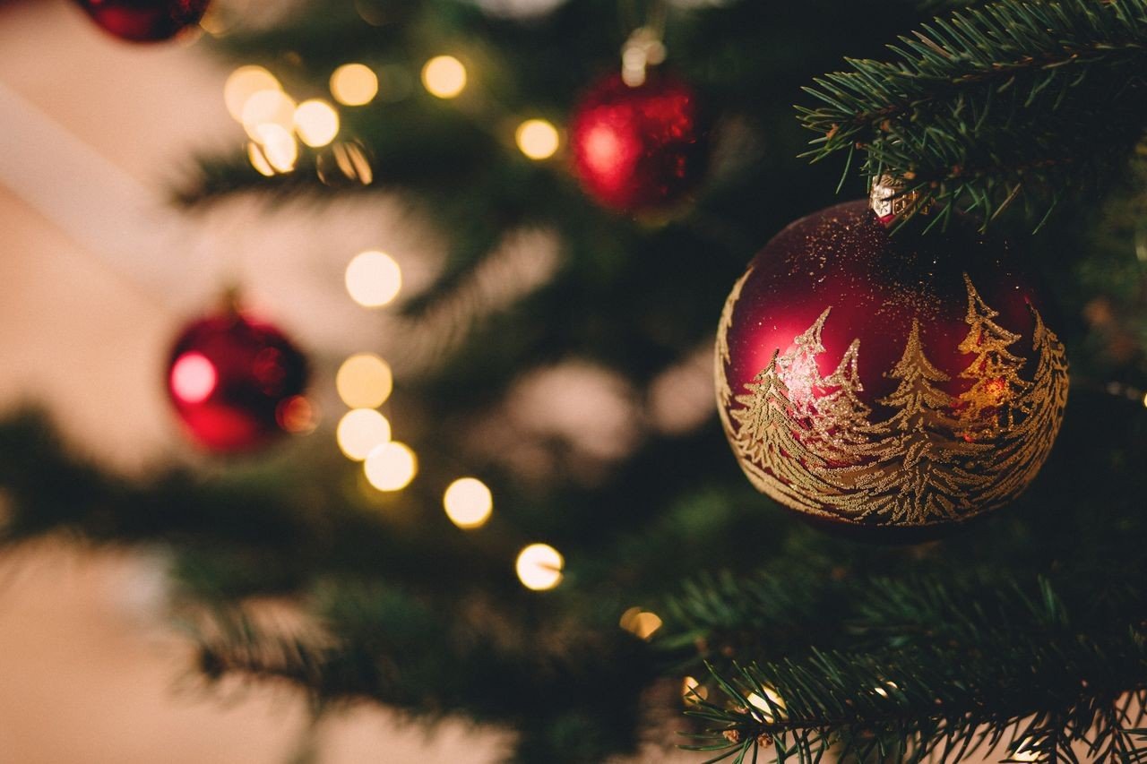 Karácsony - a hazai fenyőfák jelentős részét Vas, Zala és Somogy megyében termesztik