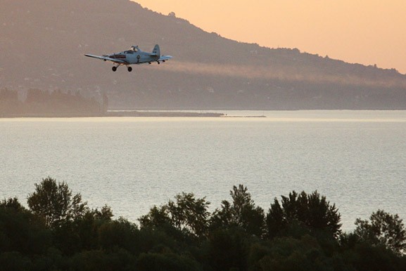 A Balatonnál és a Tisza-tónál is folytatódik a szúnyogirtás