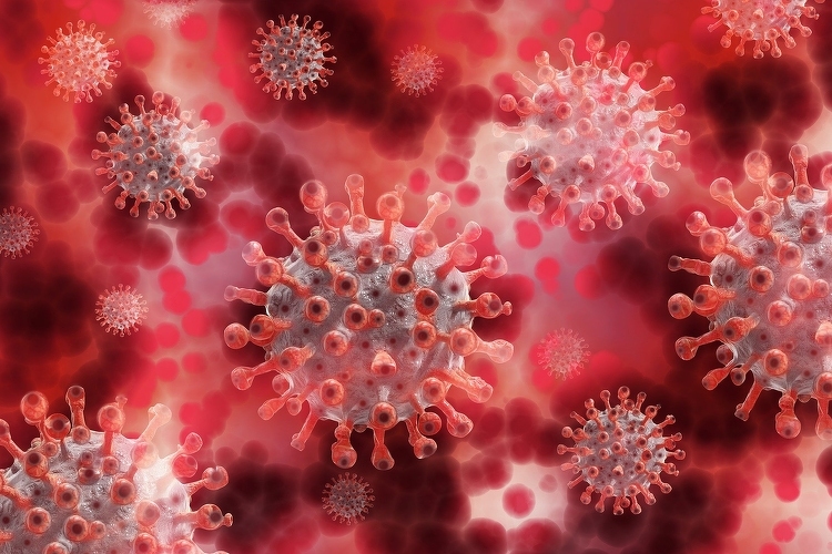 Nógrád megyében is viszonylag magas a koronavírus-fertőzöttek száma
