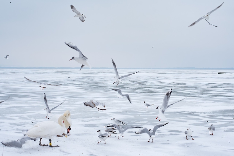 Életveszélyes jelenleg a Balaton jegén tartózkodni