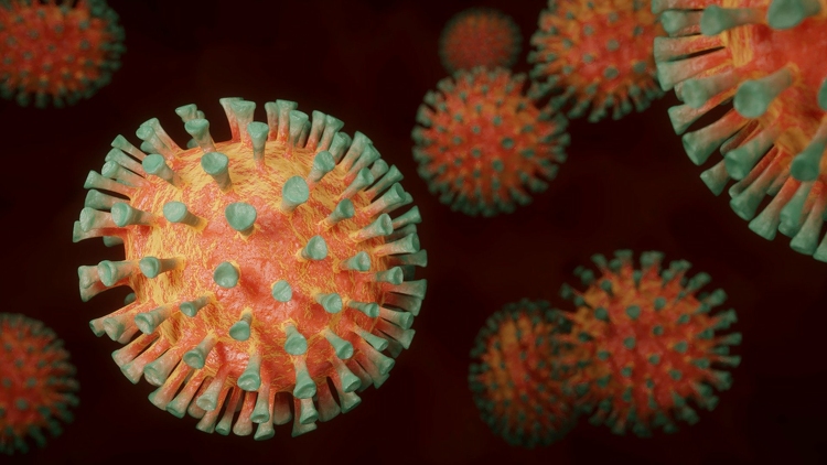 Koronavírus - NNK: stagnál a szennyvíz vírus-koncentrációja