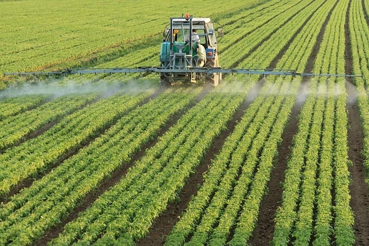 A jövő agrárstratégiájának kulcsfontosságú elemei is bemutatta a MATE rektora 