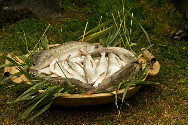 Közeledik a Balaton nagy gasztrofesztiválja