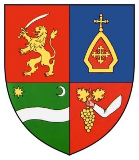 Újraválasztották a polgármestert a somogyi településen