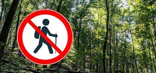 Erdőlátogatási tilalom lesz Gemencben