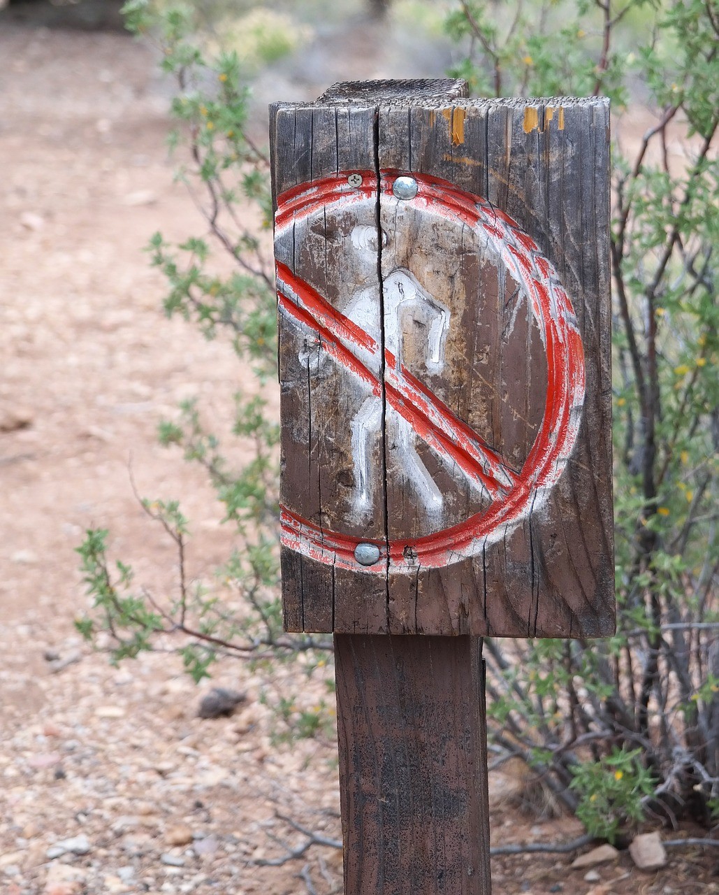 Részleges erdőlátogatási tilalom a Gemenci erdőben