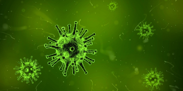Tovább csökken Szekszárdon a koronavírus koncentrációja