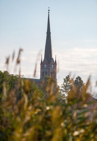 Holt-Tisza projekt