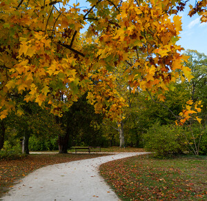 Fertőd, Esterházy-kastély