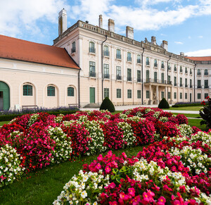 Fertőd, Esterházy-kastély