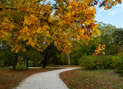 Fertőd, Esterházy-kastély