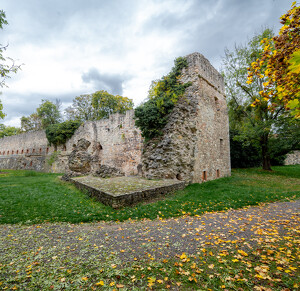 Rákóczi-vár, Sárospatak