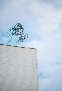 Hunent víziszárnyas vágóhíd - bokréta avató