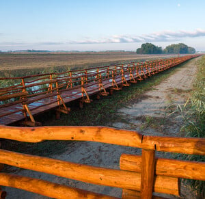 Tiszakécske, Holt-Tisza tanösvény