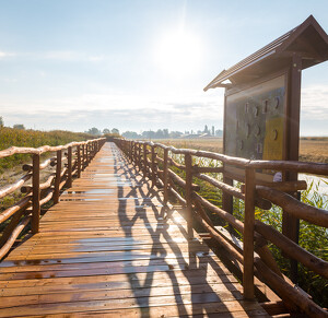 Tiszakécske, Holt-Tisza tanösvény