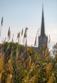 Tiszakécske, Holt-Tisza tanösvény