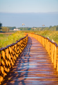 Tiszakécske, Holt-Tisza tanösvény