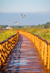 Tiszakécske, Holt-Tisza tanösvény