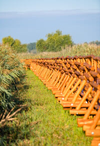 Tiszakécske, Holt-Tisza tanösvény