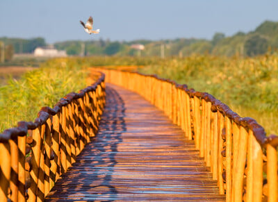 Tiszakécske, Holt-Tisza tanösvény