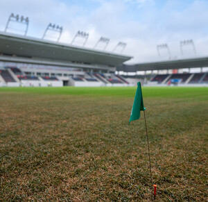 Nyíregyházi Stadion füvesítés