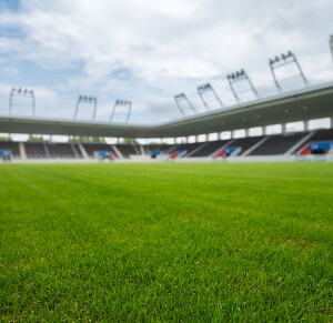 Nyíregyházi Stadion füvesítés