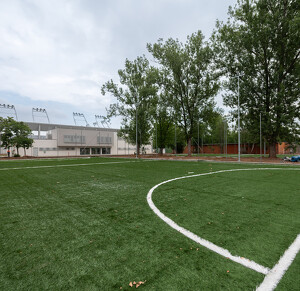 Nyíregyházi Stadion füvesítés