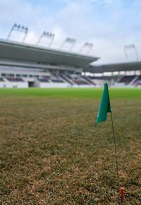 Nyíregyházi Stadion füvesítés