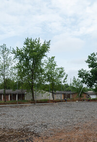 Nyíregyházi Stadion füvesítés